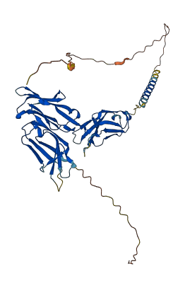 Fcgr1 3D structure