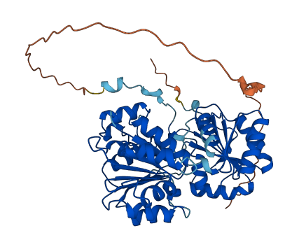 DDX6 3D structure