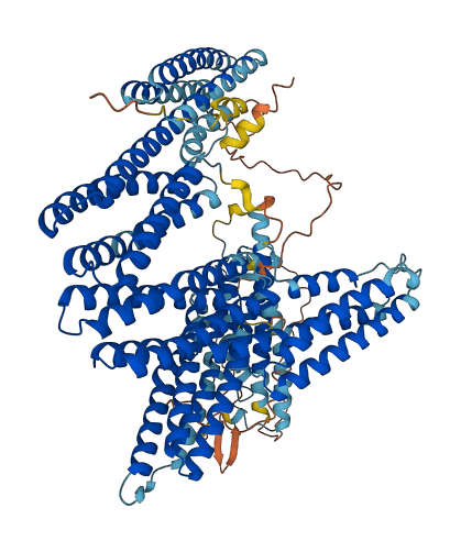 CTNNA2 3D structure
