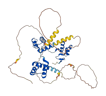 PAX6 3D structure