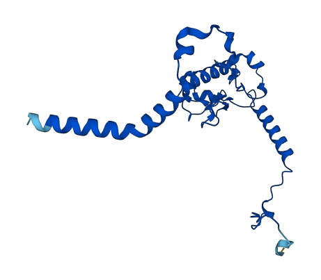 RPL13 3D structure