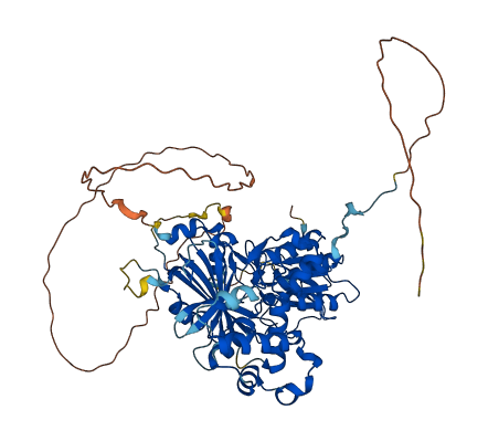 CHML 3D structure