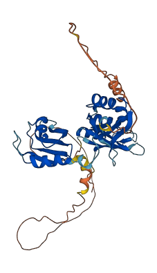 ELAVL4 3D structure