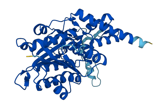 HSD3B2 3D structure