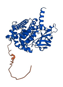 IVD 3D structure