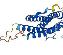CNTF 3D structure
