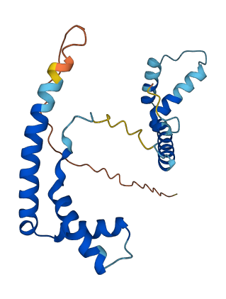 HMGB2 3D structure
