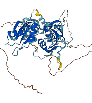 PTBP1 3D structure