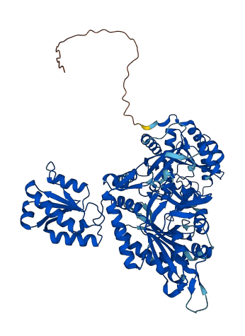 TARS1 3D structure