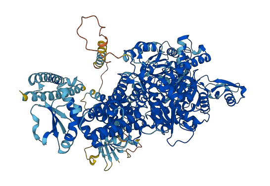 VARS1 3D structure