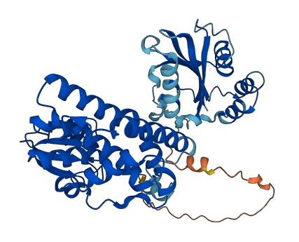 EEF1G 3D structure