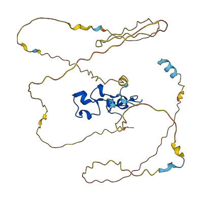 ZFP36 3D structure