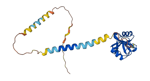 KLRC1 3D structure