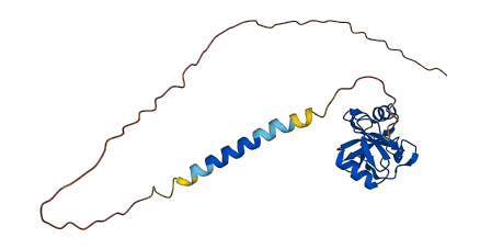 KLRC2 3D structure