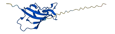 FKBP2 3D structure