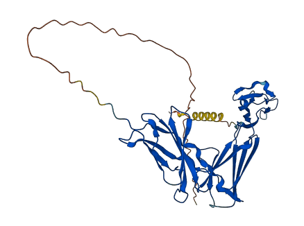 CNTFR 3D structure