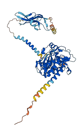ACVR2A 3D structure