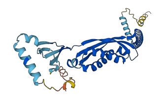 STOM 3D structure