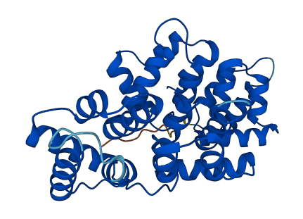 ANXA13 3D structure