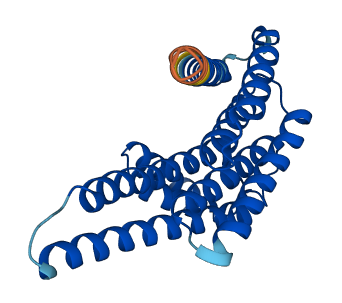 YWHAQ 3D structure