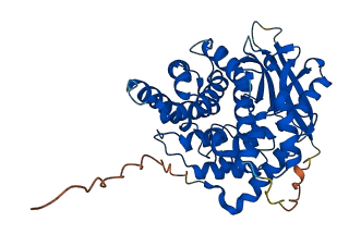 CBLIF 3D structure
