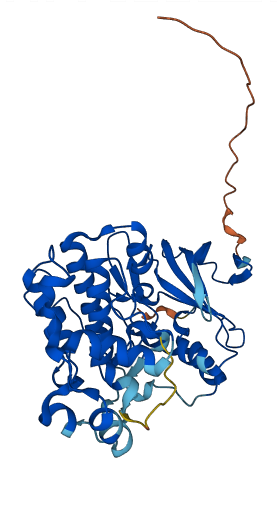 MAPK3 3D structure