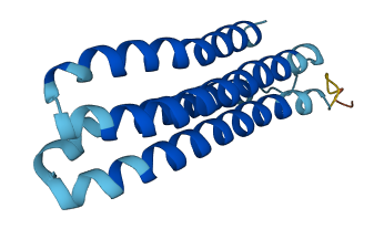ATP6V0C 3D structure