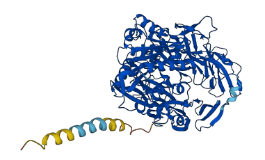DPP4 3D structure