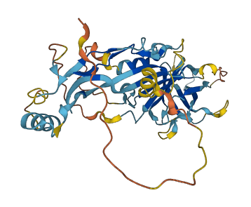 GDF1 3D structure