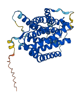 CERS1 3D structure