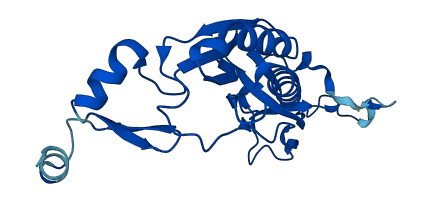 RPL10 3D structure