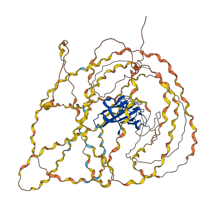 COL8A1 3D structure