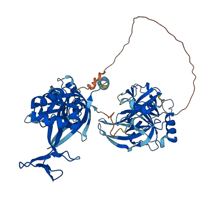 RPA1 3D structure