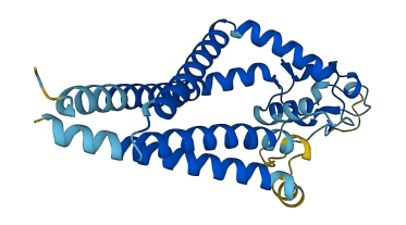 CD82 3D structure