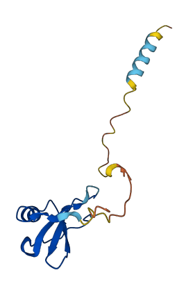 Ccl6 3D structure