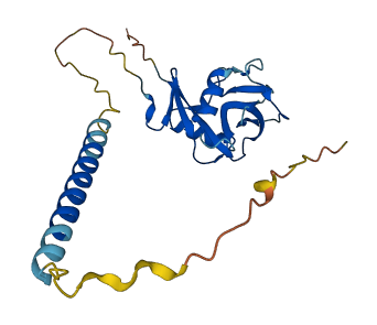 Klrb1c 3D structure