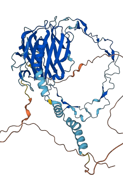 CANX 3D structure