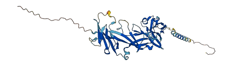 IL1R2 3D structure