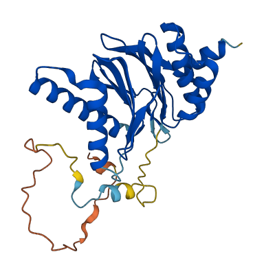 PSMB8 3D structure