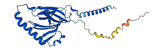 HLA-DMA 3D structure