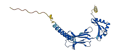 HLA-DMB 3D structure