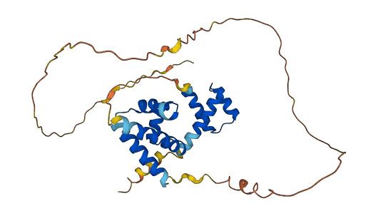 POU1F1 3D structure