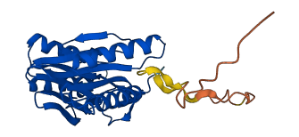 PSMB4 3D structure