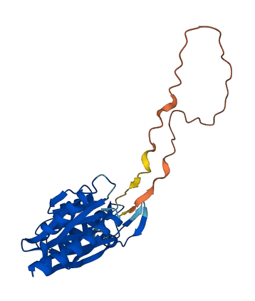 PSMB5 3D structure