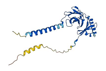 H2-DMa 3D structure