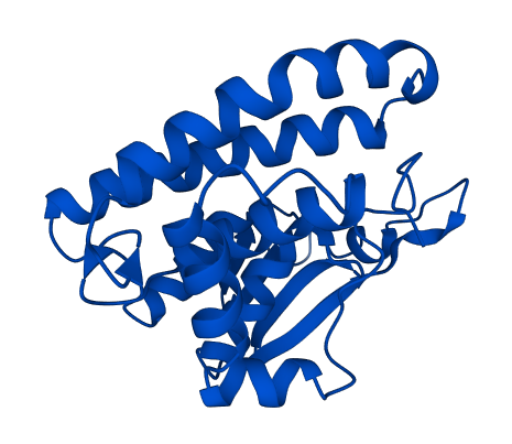 GSTM2 3D structure