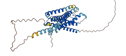 HTR1D 3D structure