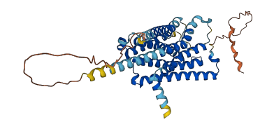 HTR1B 3D structure