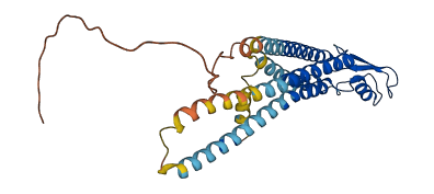 Gja6 3D structure