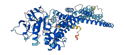 ABCD3 3D structure